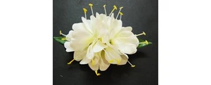 Hawaii Damen Luau Hochzeit Braut Seide weiß Ingwer Kahili Blume Haarspange - Bild 1 von 2
