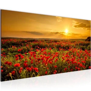 Wandbilder XXL  Blumen Mohnblume100 x 40 cm Wohnzimmer Schlafzimmer Bilder Deko - Bild 1 von 7