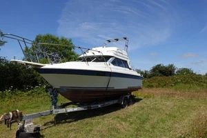 Bayliner Trophy Boat (PROJECT) - Picture 1 of 12
