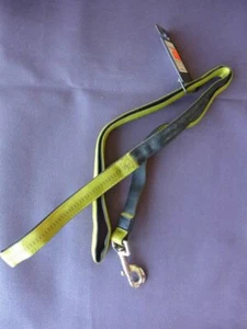 NEU Dickens' Closet grün oder rost schimmernd Hund Nylon Leine Medium/Large 56" - Bild 1 von 10