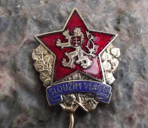 Rare 1940s Country Service Slouzim Vlasti Czech Military Lion Star Pin Badge - Picture 1 of 2