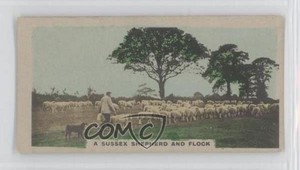 1924 Cavanders The Homeland Series Tobacco Hand-Coloured Small #1