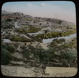 Linterna Mágica Diapositiva EL MONTE DE LOS OLIVOS C1891 FOTO ISRAELÍ JERUSALÉN ANTIGUA - Imagen 1 de 3