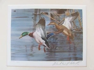 NC1 1983 North Carolina State Duck Print Signed w/stamp #NC1BB75 DSS - Picture 1 of 3