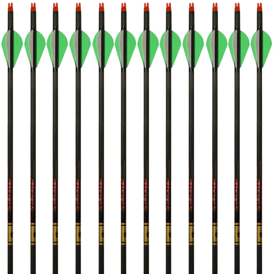 Gold Tip Arrows Velocity Hunter 300 340 400 500 1 Dozen 2" Raptor Vanes - Image 1 of 1