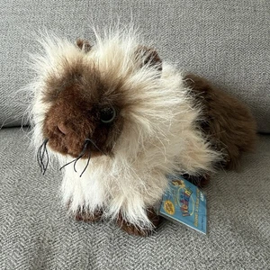 Webkinz Himalaya Katze HM165 unbenutzt versiegelt Code-Tag Ganz im Ruhestand siamesisches Kätzchen - Bild 1 von 7