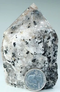 Punta de cuarzo turmalinado brasileño pulido / 3,74" / 94 mm / 15,9 oz / 1763 - Imagen 1 de 12