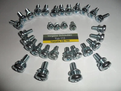 Yamaha XS 750 -  *64 Vergaser Schrauben Set 113*  NEU - Bild 1 von 2