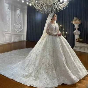 Gorgeous A-Line Long Sleeves Wedding Dress Sequins Appliques Bridal V-Neck Dress - Picture 1 of 11