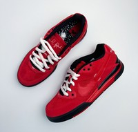 Nike Zoom Paul Rodriguez 3 Sneaker in Doernbecher - 392790 100 | eBay