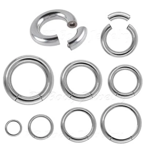 2pcs. 16G-2G Surgical Steel Segment Ring Earring Nose Ring Labret Septum - Picture 1 of 2
