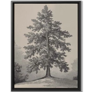 Vintage Botanical Tree Sketch Wall Art Print Framed Neutral Decor Canvas Art - Picture 1 of 9