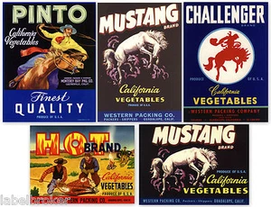 5 OLD FRUIT BOX CRATE LABELS VINTAGE LOT COWBOYS WESTERN HORSES 1940S 1950S C685 - Picture 1 of 6