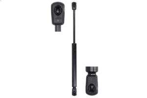 Muelle neumático STABILUS 811009 - Imagen 1 de 6