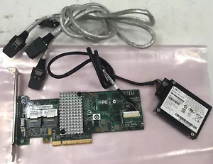 IBM 46M0851 SERVERAID M5015 6GB/s SAS RAID Controller Card PCIe 512MB w/Battery - Picture 1 of 4