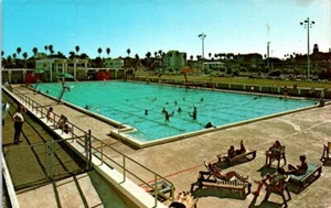 Postal de colección FL North Shore Pool St. Petersburg Florida sin publicar  - Imagen 1 de 2