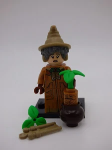 Lego Minifiguren 71028 - Harry Potter - Serie 2 - Professor Sprout - limitierte Auflage - Bild 1 von 4