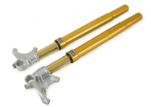 OHLINS FORCELLA NIX UPSIDE DOWN PER YAMAHA YZF R1 2015 > 2018 FGRT 219 R&T 43 - Foto 1 di 5