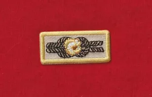 NUOVO POPCORN KERNEL KNOT vendita premio patch boy cub scout leader parodia BSA USA - Foto 1 di 1