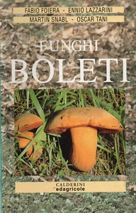Funghi Boleti Calderini Edagricole - Foto 1 di 1