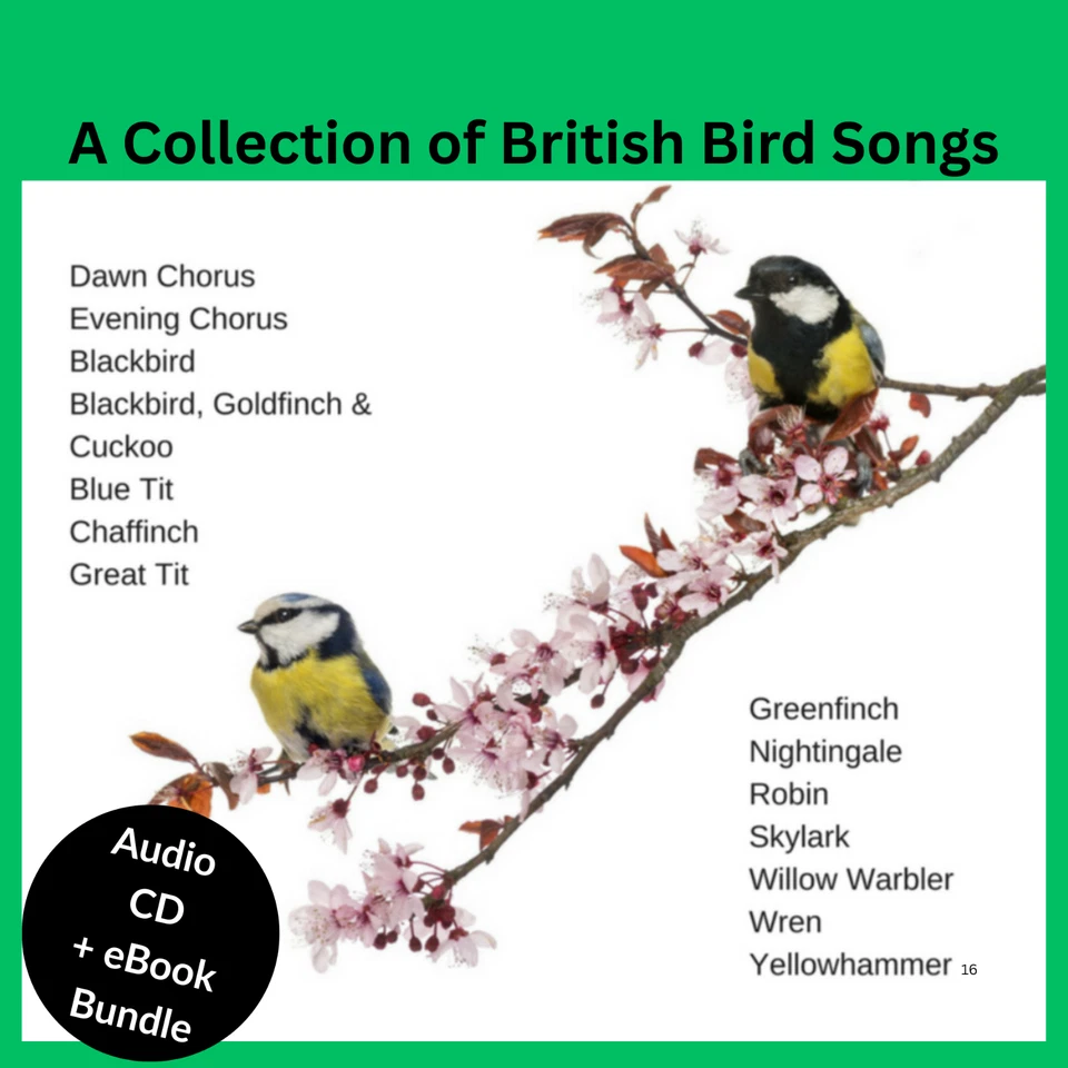 British Birdsong CD Individual Birds+Groups recognition Guide eBook and FREE MP3 - Изображение 1 из 3