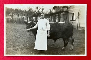 Foto AK um 1925 Typen mit Bullen Ochsen Fleischer Schlachter ? ( 153680 - Bild 1 von 2