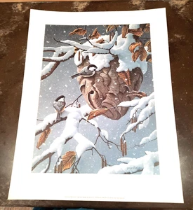 Impresión Jerry Gadamus Paper Chase Chickadee firmada y numerada 13,25 "x 18" de colección - Imagen 1 de 12