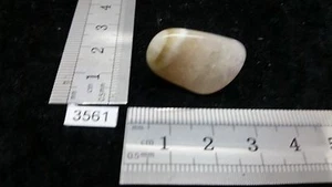 Prasiolith QUALITÄT Rohstein Mineralien Lithotherapie Sammlung Roh Reiki - Bild 1 von 1