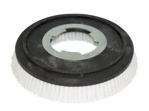 Schrubbbürste - mittel passend für Nilco 361 13 Zoll - Poly 0,75 weiß - Bild 1 von 4