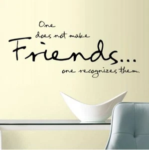 "Calcomanía de vinilo para decoración del hogar One Does Not Make Friends... 12"" x 20" - Imagen 1 de 1