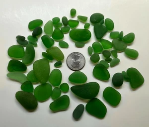 GENUINE SURF TUMBLED SEA GLASS FROM PUERTO RICO / GREEN ASSORTMENT #1 - Picture 1 of 1
