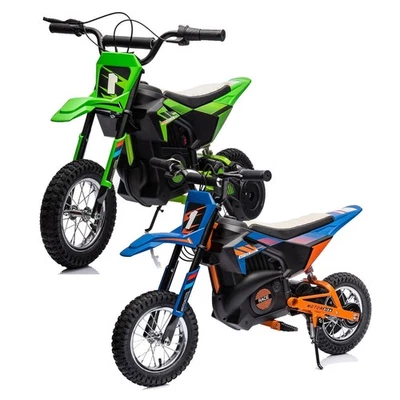 Kinder Elektro Dirt Bike 250W E-Motorrad 24V 9Ah Off Road Motorcycle E-Bike - Bild 1 von 4