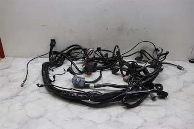 Harley Electra Glide 2004 FLH arnés de cables de motor principal telar eléctrico Foto 1 de 4