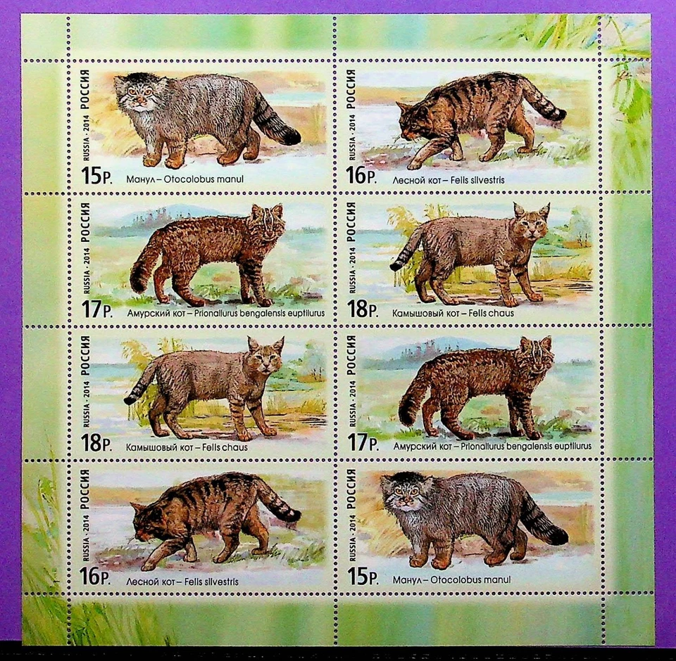RUSSIA Sc 7554 NH MINISHEET OF 2014 - ANIMALS - WILD CATS - (GA25) - Image 1 of 1