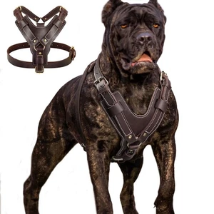 Strong Genuine Leather Dog Harness Adjustable for Large Breeds Pitbull Mastiff - Picture 1 of 13