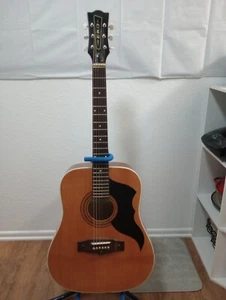 1982 Eko Ranger 6 Guitar Italian Made Brand New Without Box - Picture 1 of 7