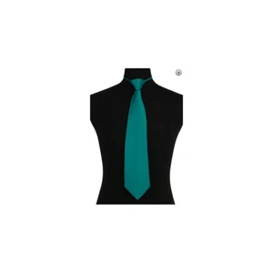 New formal men's pre-tied ready knot necktie poly solid wedding party prom Teal - Picture 1 of 2
