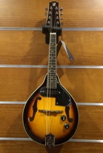 OQAN QMAN-10E MANDOLINO SUNBURST - Foto 1 di 1
