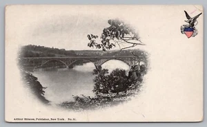 Postcard Private Mailing Card Strawberry Hill Bridge Philadelphia Pennsylvania - Picture 1 of 2