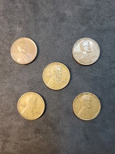 5 Mixed Date wheat penny errors, Improper Alloy Mix, Striped "Woody" - Picture 1 of 12