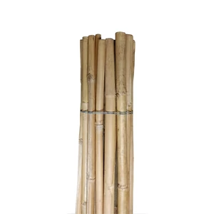 Canne di Bamboo Tutori per Orto Varie Dimensioni ⌀ 20/22 mm Bambù 50 pezzi - Foto 1 di 5