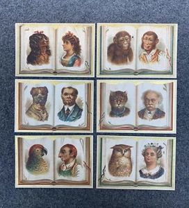 RARE Lot (6) 19th C. Theodore Leonhardt Trade Cards Man Ape Parrot Owl Cat Dog - Picture 1 of 7