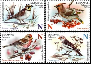 2023 Aves bielorrusas - Invitados de invierno de Bielorrusia montada sin montar o nunca montada - Imagen 1 de 5