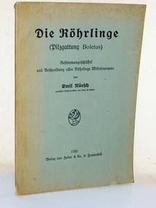 Emil Nüesch: the tubes (mushroom genus Boletus). Determination Key (1920) - Picture 1 of 2