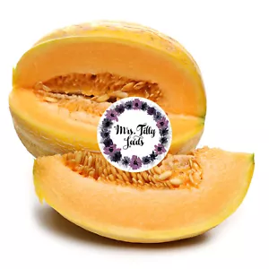 Melone SWEET GRANITE 10 Samen Honigmelone frühe Zuckermelone samenfest sehr süß - Bild 1 von 3