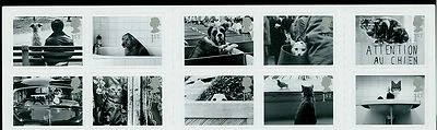 2001 gatos, perros, coche, banco de descanso, paloma, baño, ventana, bolsa, caja, GB, Reino Unido, MNH Foto 1 de 2