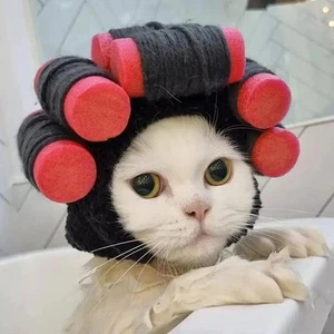 Funny Dog Wig Hat – Warm Knit Costume for Cats, Dogs, Puppies, Cosplay Fun - Picture 1 of 27
