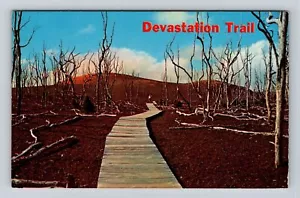 Hawaii Volcanoes National Park, Devastation Trail, Antique, Vintage Postcard - Picture 1 of 2