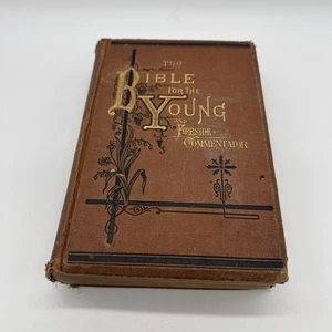 The Bible For The Young And Fireside Commentator Fully Illustrated Book VINTAGE - Imagen 1 de 11