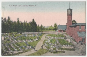 1909 Medina, Ohio - Farming Apiary Root Company - Postal de agricultura de colección - Imagen 1 de 2